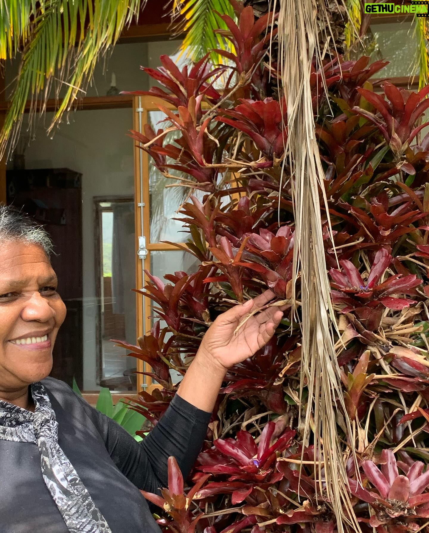 Lellê Instagram - Hoje é o dia da dona do meu coração! Amar profundamente outra mulher faz de mim uma mulher completa. Essa é a minha avó Maria José, hoje ela faz 70, e eu sempre brinco com ela que quem tem o nome dos pais de Jesus é incontestável Sou feliz e honrada em ser neta de uma pessoa tão forte e tão linda. Ela me ensinou tudo o que eu sei com amor, respeito, valores que jamais eu vou esquecer e que vou passar pros meus filhos É muito desafiador ser neta de uma líder espiritual e religiosa mas sou feliz em ter aprendido a viver a vida com a sabedoria, com o respeito absoluto com o mundo espiritual, o poder e soberania de uma mulher Feliz aniversário vó, obrigada por todo amor que a senhora da pra gente, pelo cuidado com a sua família, netos e bisnetos, pelo amor que a senhora tem por Deus e por ser única Gente, ela gosta muito de fazer comida pros meus amigos, então os amigos que gostam de comer, só marcar que ela vai adorar 😂💛 Te amo vozinha 👑