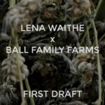Lena Waithe Instagram - After 2 years of developing, I am so excited to release my very own strain of cannabis! Introducing FIRST DRAFT, a hybrid blend that ignites your inner creative flame, allowing you to move fluidly at your own pace in a blissful state of mind.  In partnership with @BallFamilyFarms & @ChrisBall45, this strain will launch on Black Friday exclusively at @JosephineAndBillies, a Black and woman-owned dispensary in Los Angeles.  Strain Type: True Hybrid Primary Flavors: Candy, Frosting, Fruit Effects: Blissful, Creative, Calming Proud of this strain and happy to be a part of Ball Family Farms 🏁 Video, @levimaestro Editor, @tvshaypro #FIRSTDRAFT 💨