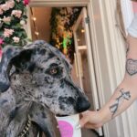 Leona Lewis Instagram - Proud to say my coffee shop is possibly THE most dog friendly place in town 🤍 @coffeeandplantsla #pupacino