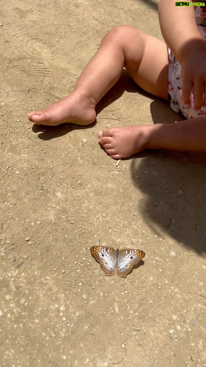 Leona Lewis Instagram - Grateful for all the firsts I’m getting to experience through the eyes of my child 🦋