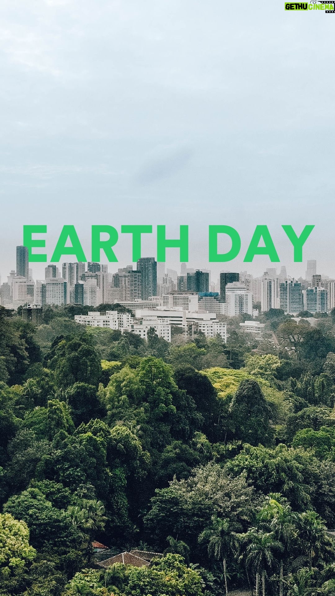 Leonardo DiCaprio Instagram - More than half of people around the world live in cities. Because the wild is often missing, cities can feel crowded and hot. This Earth Day serves as a reminder that when communities plant trees and grow green walls, we improve the quality of the air we breathe, and can help cool our cities. @rewild supports @groundwork_hv as a part of the Conservation Pathways For Youth program fund. When we nurture native plants and let our outdoor spaces thrive like @sugiproject does by planting pocket forests in urban spaces around the globe, our cities can get a little bit more wild. #EarthDay2024