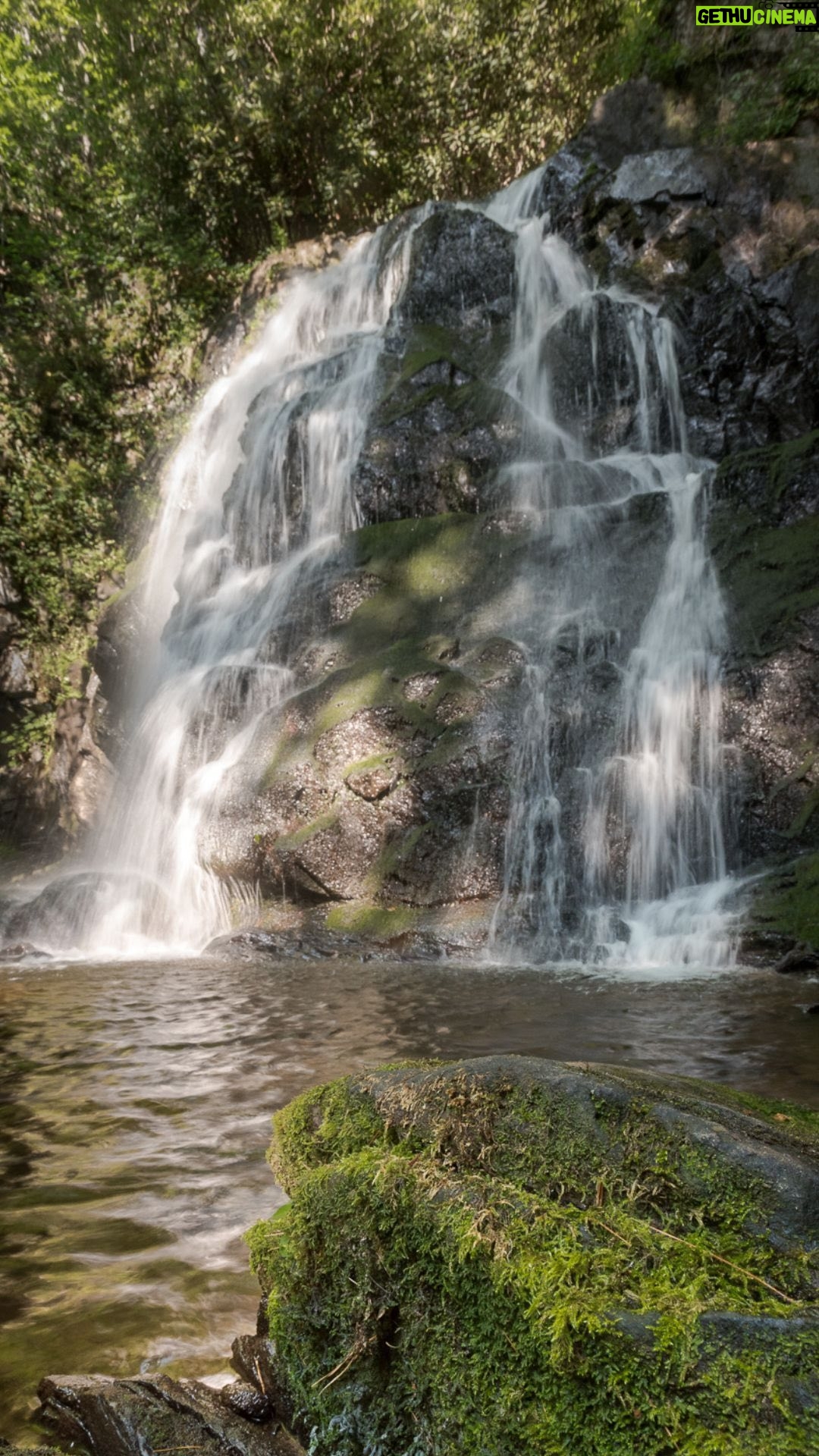 Leonardo DiCaprio Instagram - Freshwater ecosystems are the lifeblood of the terrestrial wild—and people cannot survive without them. As freshwater carves its way toward the ocean and collects in natural basins, it creates some of the most diverse habitats on the planet. Rivers, lakes and wetlands cover less than 1% of Earth’s surface, yet are home to 12% of all known species. Freshwater ecosystems have had a staggering 84% decline in species populations since 1970. Fishes are among the most threatened: of some 18,000 freshwater fish species, around one in four are threatened with extinction. @rewild and @shoal_org are working to urgently address that decline to help recover threatened species throughout the Earth’s freshwaters. #EarthDay2024 #FreshwaterConvservation Cover image credit: @andrewsnyder87