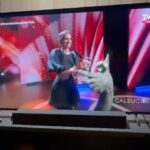 Leonor Varela Instagram - Presentar @premioscaleuche fue un honor. Que lindo estar en compañía de mi gremio en Chile. Felicidades a todos lxs ganadores! @somoschileactores Volver a mi país es el mejor abrazo 🤗 Loved presenting at Chilean's syndicat award show, @premioscaleuche coming to my home country feels like a big fat hug. Congrats to all the winners!