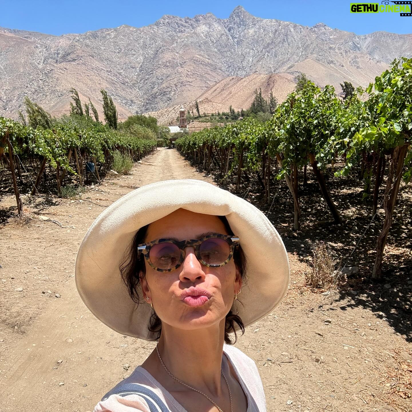 Leonor Varela Instagram - Me gusta lo que veo enero, vamos con todo 2024!! 💪🏽🤩 I like what I see January, let's do this 2024!