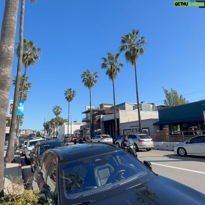 Leonor Varela Instagram - California #dump 🌴 La semana pasada fui a mi casa para ir a buscar a Luna: jugamos y nos pusimos al día 🎀 la había extrañado mucho el mes pasado! También subí cerros y me junté con amigas....Desgraciadamente el jet Lag y cambio de clima me pegaron con un gripe intensa 🤧 pero los caldos y batidos de @owlvenice me a acompañaron para recuperarme. En mis historias les fui dejando todas las otras cosas que hice para estar mejor, las vieron? Que les pareció? . . Last week I came home to get Luna: we played and caught up after missing her so much last month! I got to hike in my beloved Ojai and see some of my dear sisters...but unfortunately jet Lag and change of temperatures hit me hard w the flu 🤧 so grateful I was able to pick up bone broths and shakes from @owlvenice to get me back on my feet and travel back to chile to finish work 🇨🇱