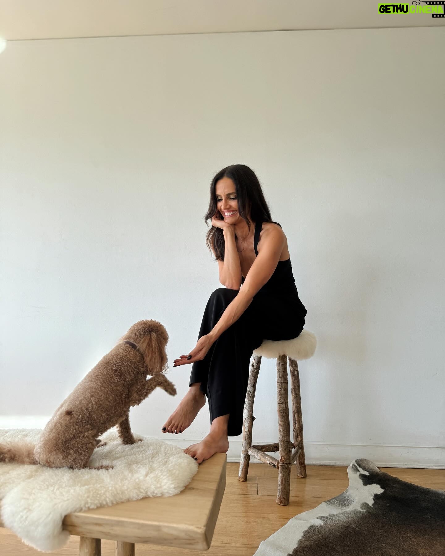 Leonor Varela - 15.9K Likes - Amores y compañía en Santiago: Don Vito es mi sombra fiel 💞 maravillosa biografía de Gabriela Mistral @penguinlibroscl
.
.
My loves and company in Santiago: Mr. Vito my faithful shadow 💞 Amazing Biography of Gabriel Mistral #elizabethhoran @penguinlibroscl
#shotoniphone