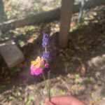 Leslie Grace Instagram – últimamente:)
… encontré una reliquia… en el último slide!