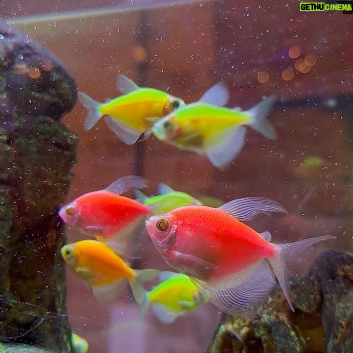 Leticia Siciliani Instagram - y hacer burbujas de amor por donde quiera . 🐠