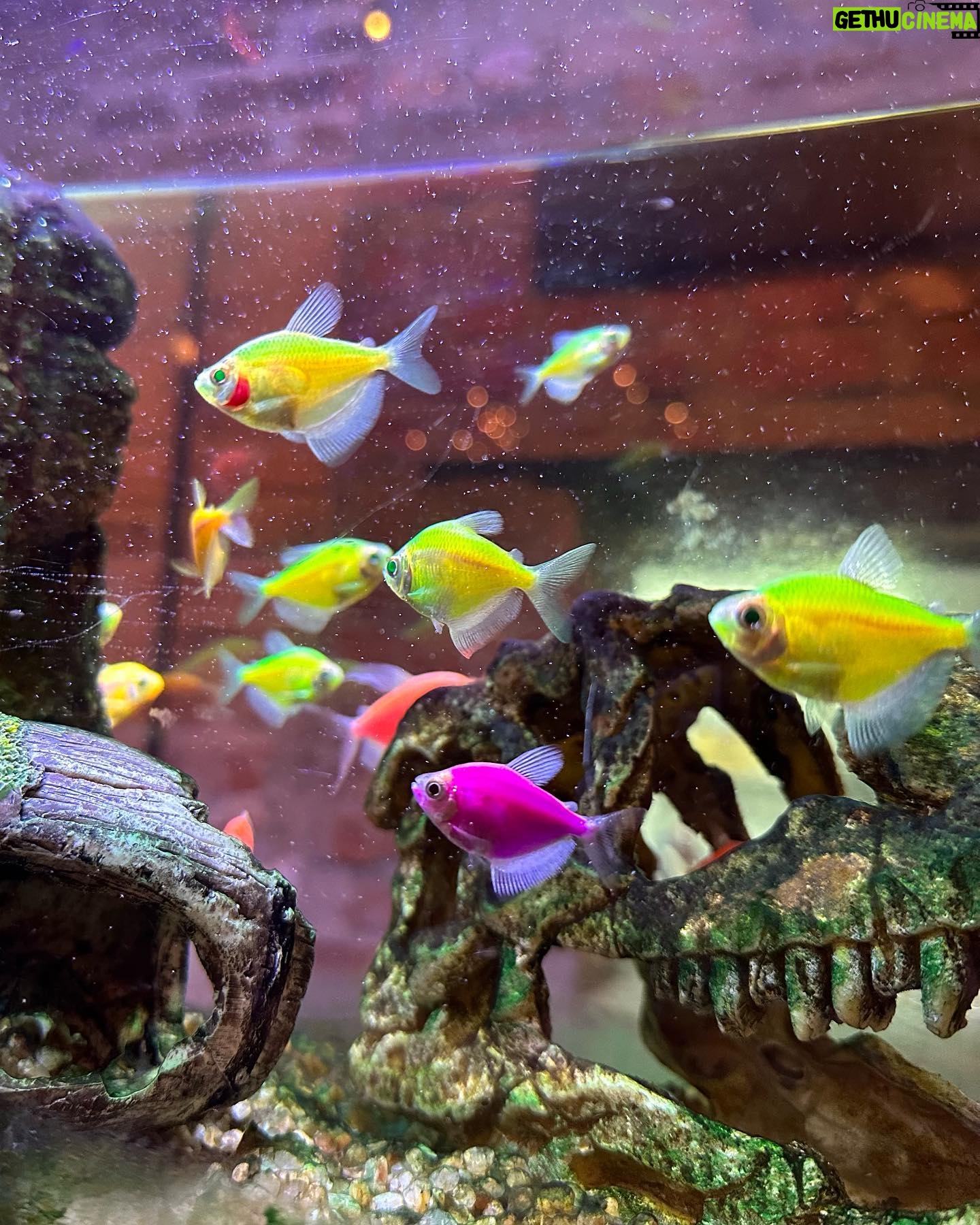Leticia Siciliani Instagram - y hacer burbujas de amor por donde quiera . 🐠