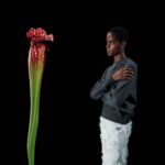 Letitia Wright Instagram – The humblest object, yet the most symbolic.
 

#PradaFW23

Photography by @willyvanderperre