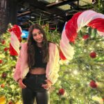Leya Kırşan Instagram - 🎄🫎❄️