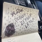 Leyla Tanlar Instagram - Deli gibi bi şey oldunuz iyice 🧿 gg #GoodGame Levin ne abii saçmasapan @levintanlar ♥️