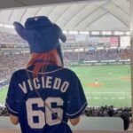 LiSA Instagram - 🐉⚾️📣
