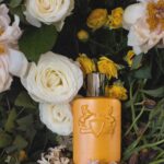 Liberta Spahiu Instagram – Parfumi me i ri nga @parfumsdemarly ‘Perseus’ 🧡 e gjeni ne @maisondeparfum_prishtina ne #albimall & #prmall 
A kesi lloj zonjash si na nuk gjeni askund 😂🫶🏻