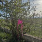 Liberta Spahiu Instagram - Disa gjëra t’përditshmërisë… ☺️ Hane-dille!