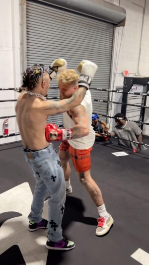 Lil Pump Instagram - Jake Paul is officially 10-1 😅
Not gonna lie, that liver shot made me feel like I was dying 😂😭