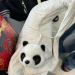 Lilas Ikuta Instagram – memories in 天津＆杭州🤍

➀服に合わせて二つお団子ヘア🍡
➁激うま火鍋🥘
➂大好物の小籠包🥟
➃シャボン玉てっぽう大🫧
➄雨避け付きてるてる坊主®️ikura
➅本当に止めてくれてありがとうパシャリ📷
➆歩き回るカメさん🐢
➇あなたはクマなの❔パンダなの❔
➈選ばれたのはこちらのパンダでした🐼
⑩揚げパンの断面が肉球🐾
