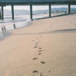 Lilas Ikuta Instagram - memories in Los Angeles➄ Photo by @lilasikuta Venice Beach🌊 最後の2枚は @shumpei_1002 撮影→私撮影 という2視点でございます📷