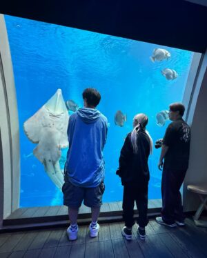 Lilas Ikuta Instagram - memories in Singapore🤍

①あやせさんの泊まった水中で寝られるホテルに遊びに行く🐠(私はぎり怖くて宿泊は断念)
②エイによる特大ファンサ🥴
③突然訪れた奇跡の4ショット📷
④ホテルのエントランスがかわちいぎゅうぎゅう🧳
⑤朝食ビュッフェの目玉焼き、なんかいっぱい上に乗せてくれた🍳
⑥マネさんたちが買ってきてくれたUSSのお土産クッキーモンスターマグネット🍪
⑦Cloud Forest(植物園)で高所をお散歩👀
⑧Supertree GroveにてPOP OUTティーツーショ✌︎✌︎
⑨Spotifyオフィスにお邪魔させていただいてサインを書き書き✍🏼
⑩舞台袖でライブを見守るマネよしのちゃんがかわちい