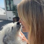 Lilián García Instagram - Ever since I was a little girl, I have been obsessed with animals especially dogs. I completely melt in their presence. 😊 A little over 10 years ago I was struggling with the decision of getting another dog because of my schedule. Then one day it hit me. Everything told me to go to the shelter the next day and look for a dog. That’s when I found Colby. He was all alone sitting underneath a tent, and as soon as they put us in a room together, we bonded instantly!! To say this little animal has brought me joy, is an understatement!! He’s my protector, my buddy, my son. 😁 So this post goes out to Colby and all the animals out there that provide so much joy and companionship to their owners. If you’re on the fence as to whether to rescue an animal or not, DO IT! It’s an indescribable love that will enrich your life!! 🤗🐶💛 . . #nationalloveyourpetday #dogsofinstagram #dogs #loveyourpet