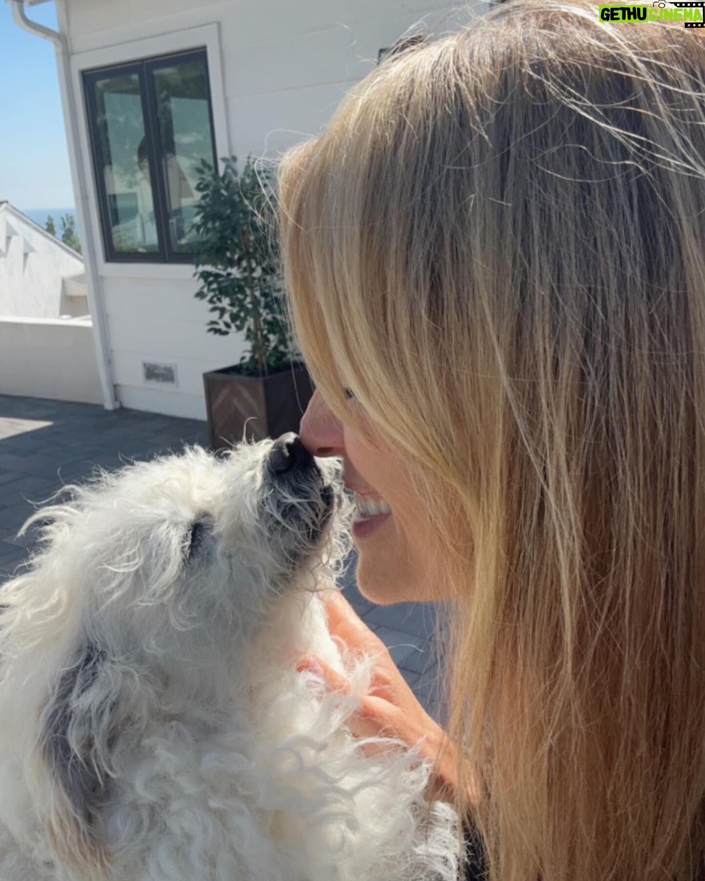 Lilián García Instagram - Ever since I was a little girl, I have been obsessed with animals especially dogs. I completely melt in their presence. 😊 A little over 10 years ago I was struggling with the decision of getting another dog because of my schedule. Then one day it hit me. Everything told me to go to the shelter the next day and look for a dog. That’s when I found Colby. He was all alone sitting underneath a tent, and as soon as they put us in a room together, we bonded instantly!! To say this little animal has brought me joy, is an understatement!! He’s my protector, my buddy, my son. 😁 So this post goes out to Colby and all the animals out there that provide so much joy and companionship to their owners. If you’re on the fence as to whether to rescue an animal or not, DO IT! It’s an indescribable love that will enrich your life!! 🤗🐶💛 . . #nationalloveyourpetday #dogsofinstagram #dogs #loveyourpet