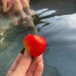 Lilia Buckingham Instagram - If your body is tea….