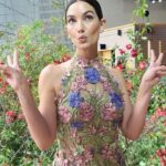 Lily Aldridge Instagram – @zannarassi, @lilyaldridge, and @elainewelteroth discuss the 2024 #MetGala theme ✨ #LiveFromE