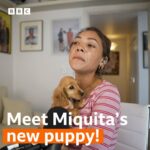 Lily Allen Instagram - Miquita finally got her puppy, Zedd! Miss Me? | Listen on BBC Sounds