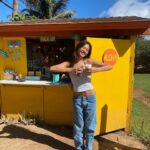 Lily Chee Instagram - yessirski 🍍