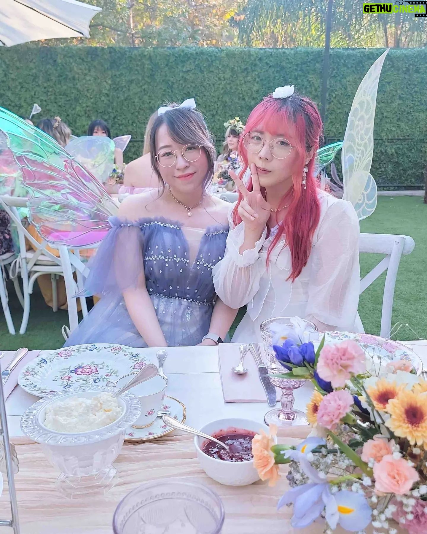 Lily Ki - 139.1K Likes - 🧚♀️