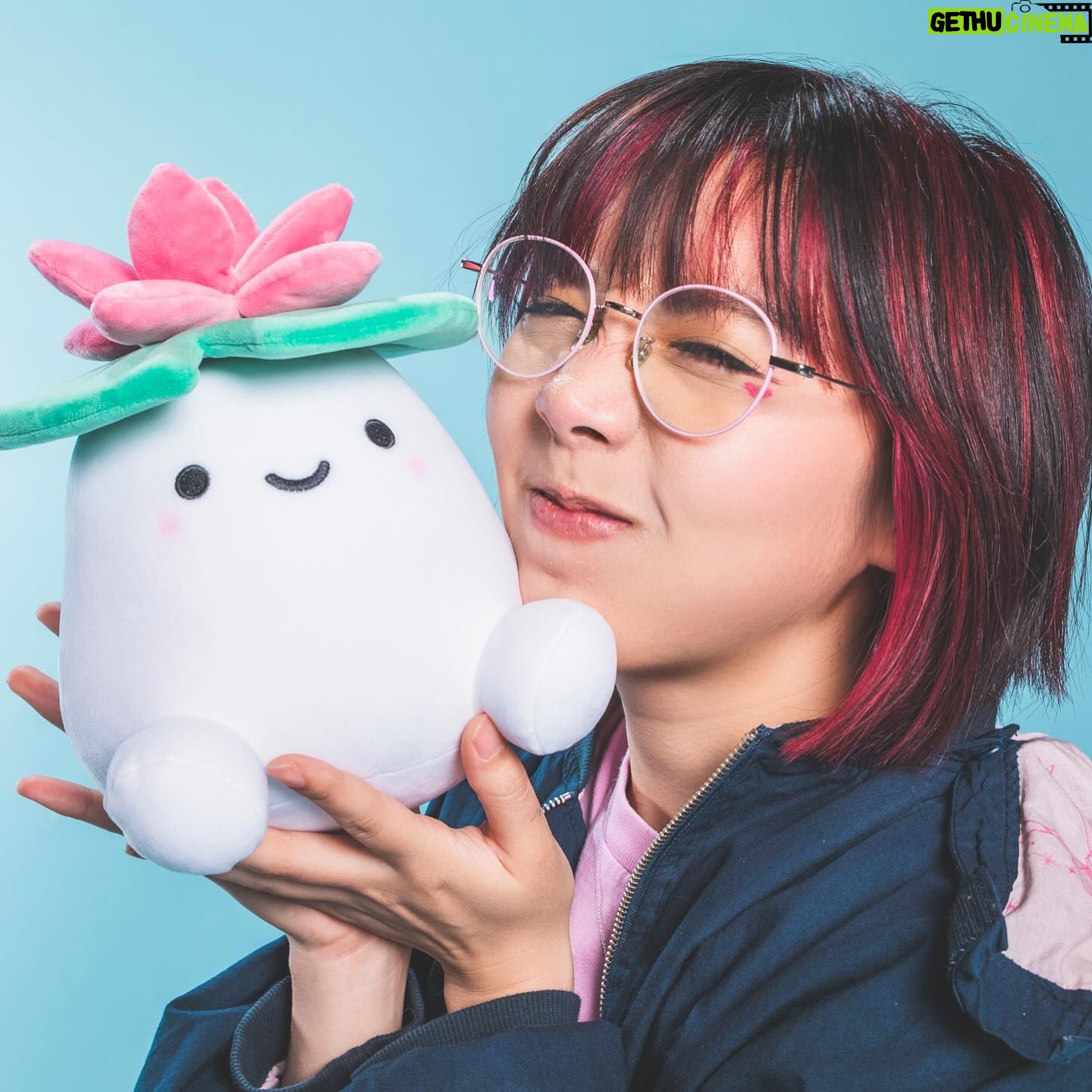 Lily Ki Instagram - lilypad plushies!!! https://www.lilbeans.store