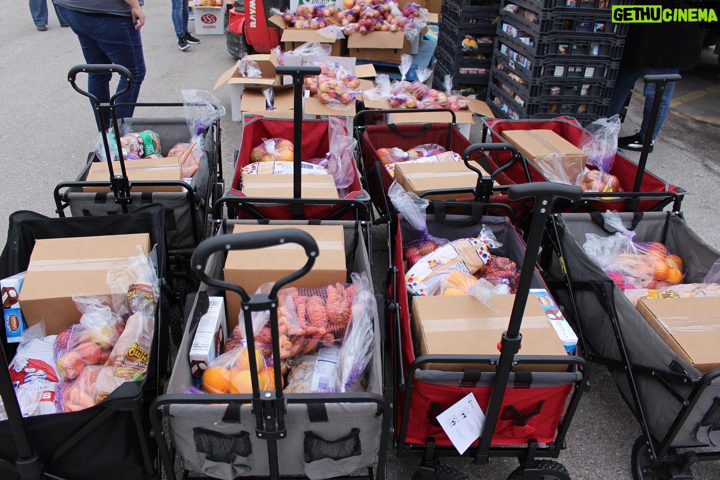 Linda Cardellini Instagram - Thank you @wckitchen & @feedingamerica for doing such incredible and inspiring work to feed those in need. ❤️ If you would like to find ways to get involved please check out: http://WCK.org/chefsforamerica or @FeedingAmerica :http://bit.ly/3cYMfMA