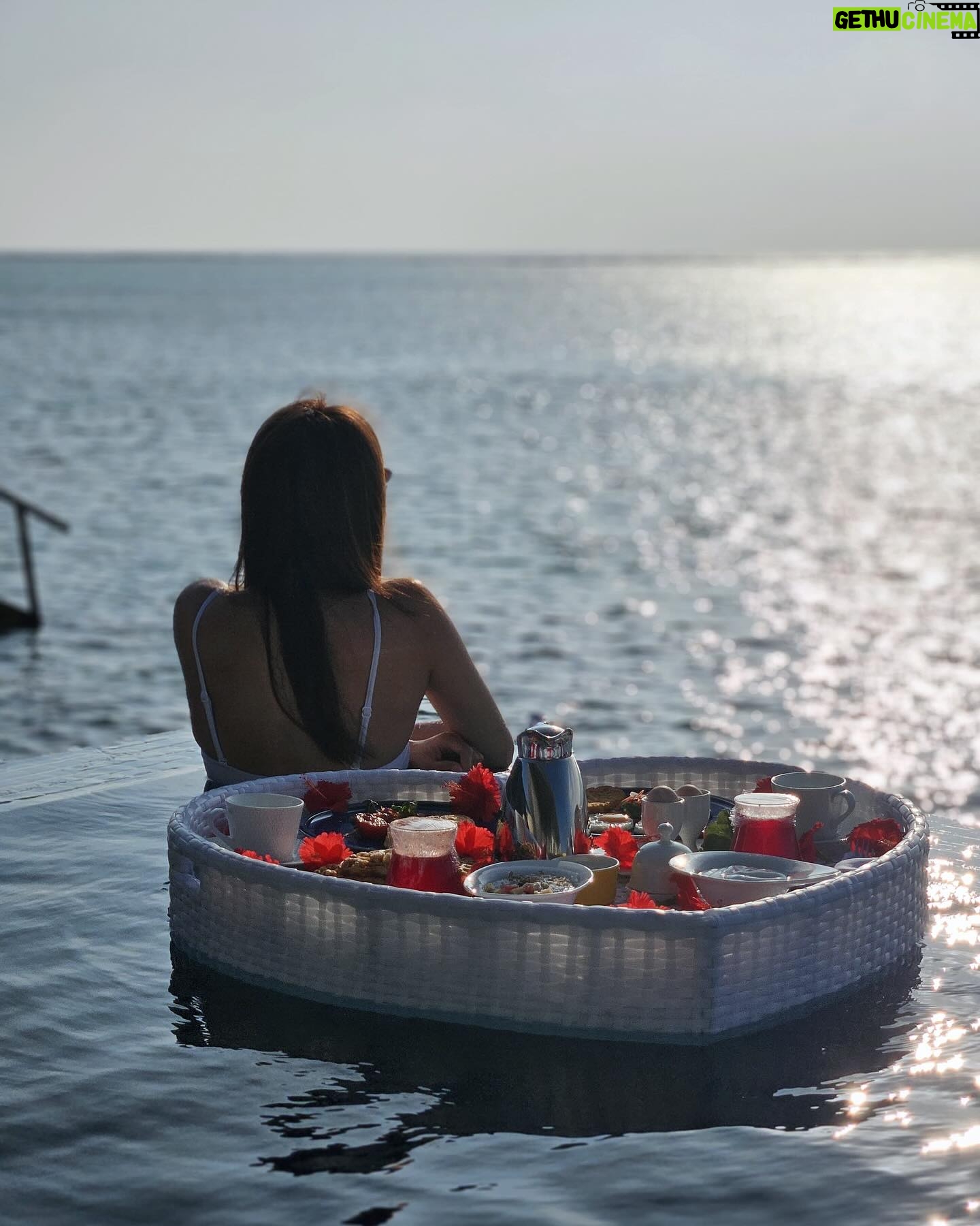 Linda Chung - 20.8K Likes - My heart is happy and my soul is happy.
I had a magical experience. ✨🐳🫧
@ClubMedFinolhu #clubmed #clubmedhk @qicomms @imphoebeyuen