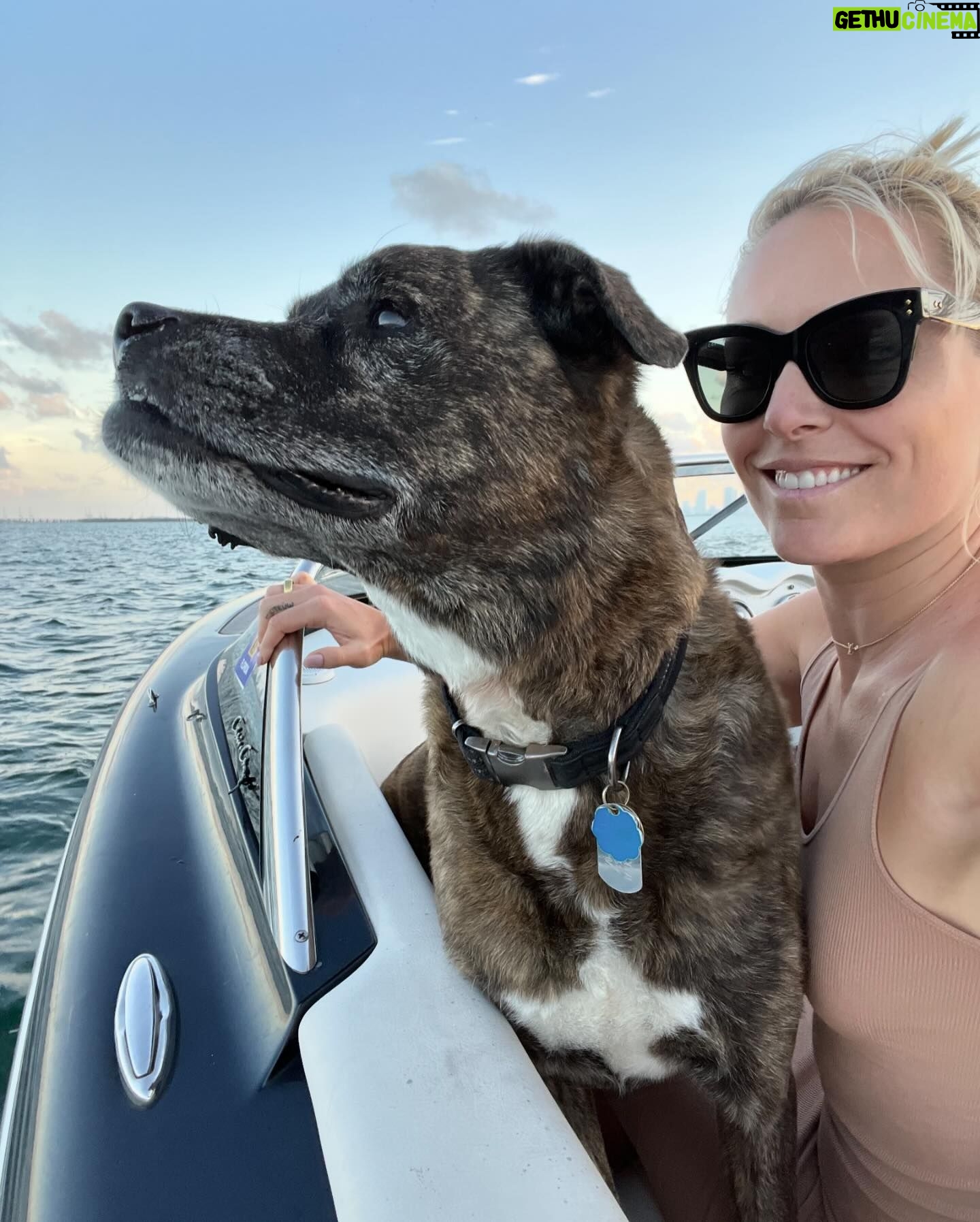 Lindsey Vonn Instagram - Thankful for unconditional love 🐕 🐶 🐾 Because no matter how high or how low life gets, I will always have their love ❤️ Happy Valentine’s Day! Sending ❤️ to everyone from me and my furry valentines 💌 @vonndogs We miss you Bear ❤️🕊️🙏🏻