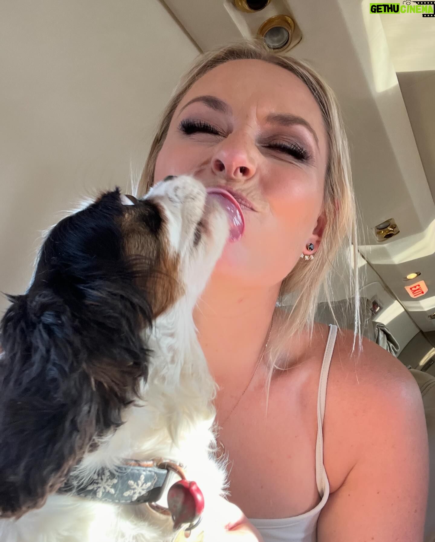 Lindsey Vonn Instagram - Thankful for unconditional love 🐕 🐶 🐾 Because no matter how high or how low life gets, I will always have their love ❤️ Happy Valentine’s Day! Sending ❤️ to everyone from me and my furry valentines 💌 @vonndogs We miss you Bear ❤️🕊️🙏🏻