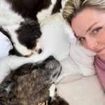 Lindsey Vonn Instagram - Dogs are the best medicine in times like these… I adopted Leo right before my 2nd ACL surgery and he’s been with me through all my surgeries since. Leo was hit by a car before I adopted him and he’s got almost as many screws in his leg as I do. He never likes it when I cry but he always knows when I’m hurt and he doesn’t leave my side. I think he knows what it feels like. Just thankful I have my pups ❤️🐶