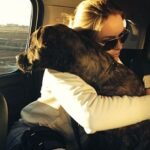 Lindsey Vonn Instagram - Dogs are the best medicine in times like these… I adopted Leo right before my 2nd ACL surgery and he’s been with me through all my surgeries since. Leo was hit by a car before I adopted him and he’s got almost as many screws in his leg as I do. He never likes it when I cry but he always knows when I’m hurt and he doesn’t leave my side. I think he knows what it feels like. Just thankful I have my pups ❤️🐶