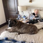 Lindsey Vonn Instagram – Dogs are the best medicine in times like these… I adopted Leo right before my 2nd ACL surgery and he’s been with me through all my surgeries since. Leo was hit by a car before I adopted him and he’s got almost as many screws in his leg as I do. He never likes it when I cry but he always knows when I’m hurt and he doesn’t leave my side. I think he knows what it feels like. Just thankful I have my pups ❤️🐶