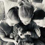 Lisa Marie Presley Instagram - We’ve been fostering pups from a shelter. Exhausting but so rewarding 👍🐶 be well❤️