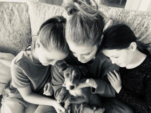 Lisa Marie Presley Instagram - We’ve been fostering pups from a shelter. Exhausting but so rewarding 👍🐶 be well❤️