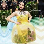 Lisa Rinna Instagram – Leave it to @how.meme.you to make sure I was at the Met Gala ❤️🌼💐🩷😂😂😂