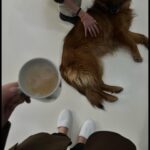 Lisa Vicari Instagram – 2023 so far has been busy, wild and full of mirror selfies