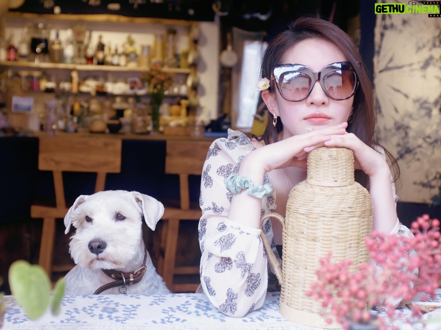 Liu Yifei Instagram – | Gethu Cinema