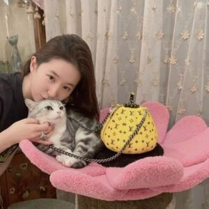 Liu Yifei Instagram - 