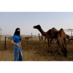 Liu Yifei Instagram –