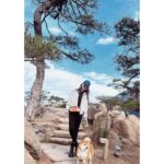 Liu Yifei Instagram –