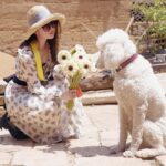 Liu Yifei Instagram -