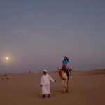 Liu Yifei Instagram – 🐪