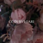 Liu Yifei Instagram – @bulgari #bulgarihighjewelry #bulgarimediterranea #bulgari