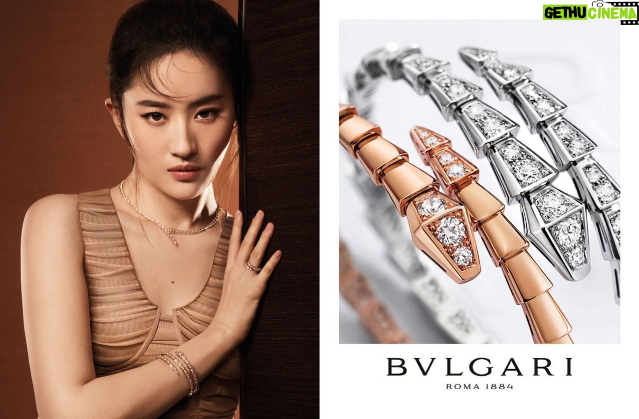 Liu Yifei Instagram - @bulgari #BulgariHighJewelry #Serpenti